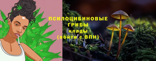 ECSTASY Аркадак